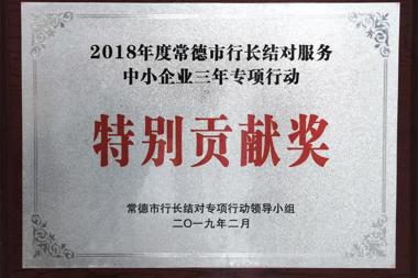 2018年度常德市行长结对服务中小企业三年专项行动特别贡献奖