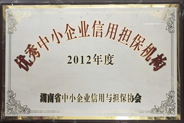 2012年度优秀中小企业信用担保机构