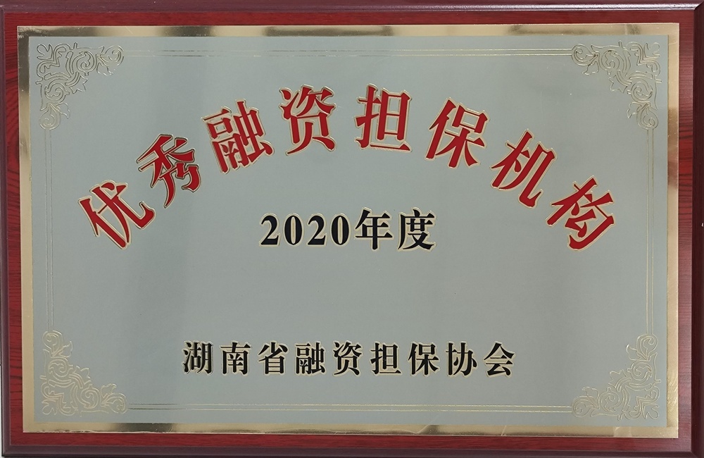 2020年度优秀融资担保机构