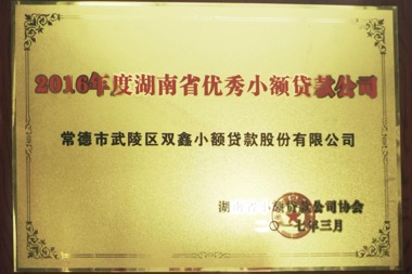 2016年度湖南省优秀小额贷款公司—常德市武陵区双鑫小额贷款股份有限公司