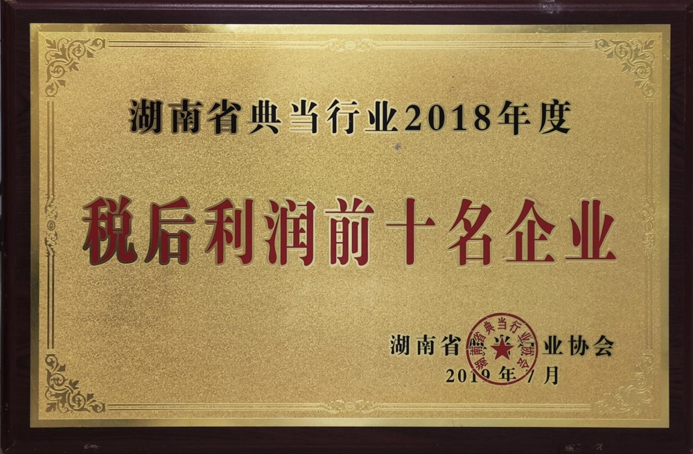 湖南省典当行业2018年度税后利润前十名企业